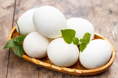 Fresh White Chicken Eggs - Pack of 6