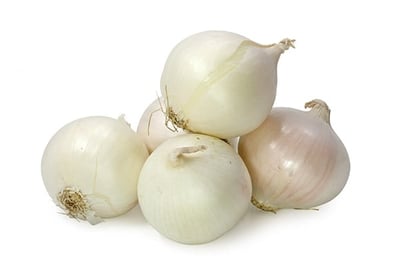 Onion White (LB)
