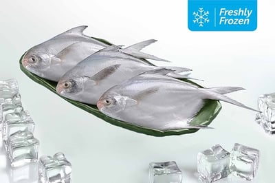 Silver Pomfret Whole (240g to 270g Pack, Freshly Frozen)