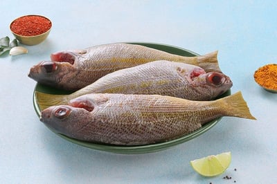 Yellow Snapper - Whole Cleaned