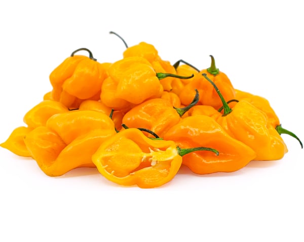 Chilli Habanero Yellow (HL) - (Pack of 100g)
