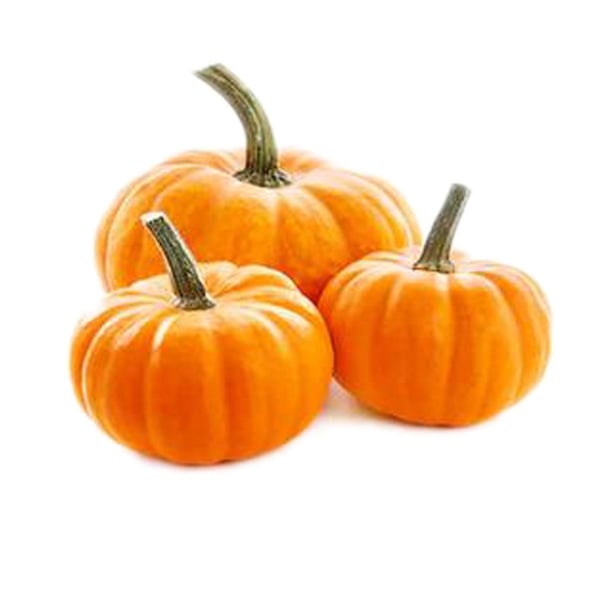 Pumpkin Red Small (IN)