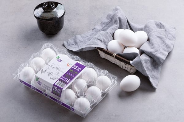Eggs White/ بيض أبيض - Pack of 15 (Medium)