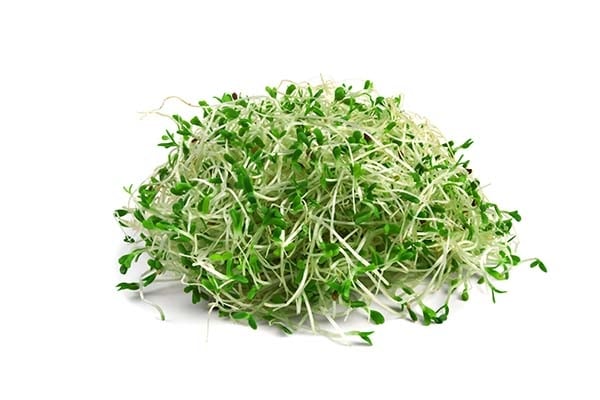 Alfa Sprout (AU) - Pack of 125g / براعم ألفا أسترالية