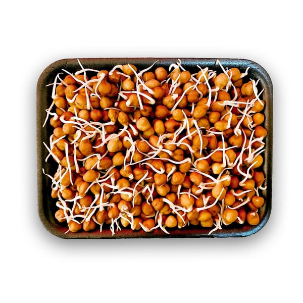 Black Chana Sprout (AE) -Pack of 200g