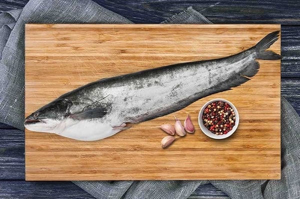 Boal Fish / Attu Vaala