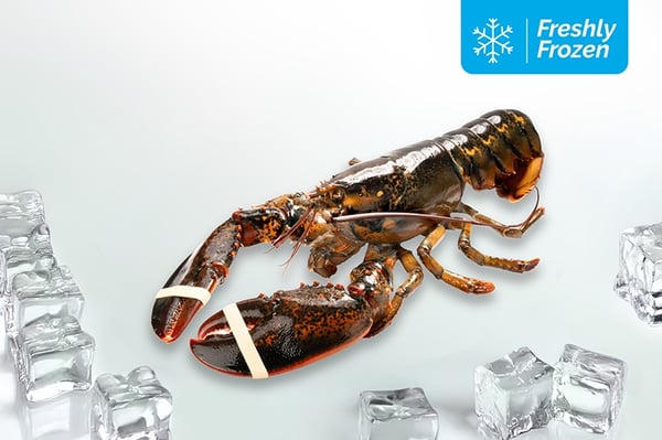 Lobster Whole (300g to 500g, Freshly Frozen)