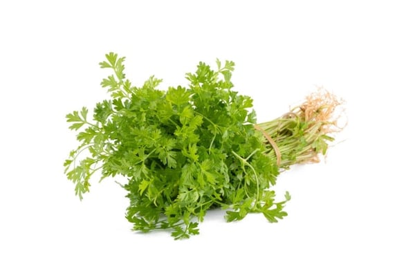 Coriander Leaf - 70g Bunch