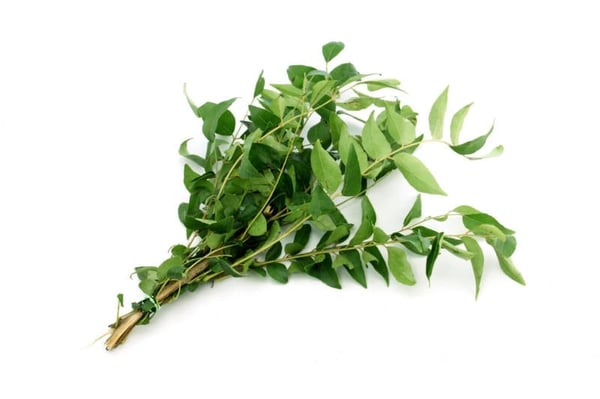 Curry Leaf - 65g Bunch