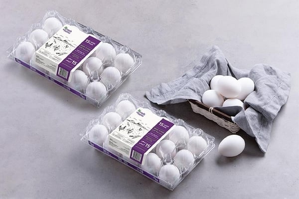 Egg White 30pc