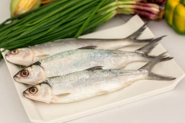 Fresh Water Milk Fish / Kayal Poomeen