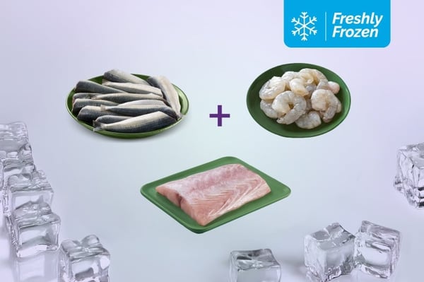 Freshly Frozen Triple Combo: (Sardine Cleaned (Large) 200g + Jumbo Prawns - PD Meat 200g + Mahi Mahi Boneless Fillets 200g)