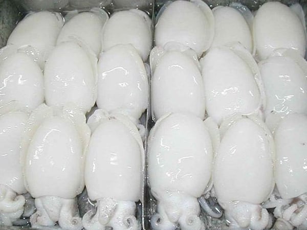 Cuttle fish (20 to 40 count /kg)