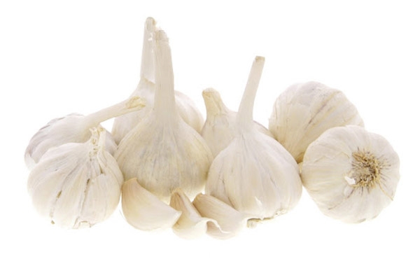 Garlic (IN)  / ثوم الهند