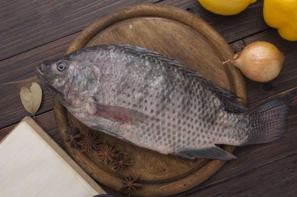 Premium Gift Tilapia / चिलापी (from FreshToHome Farms)
