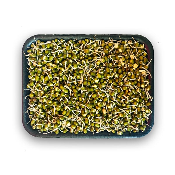 Sprout Moong (AE) -Pack of 250g