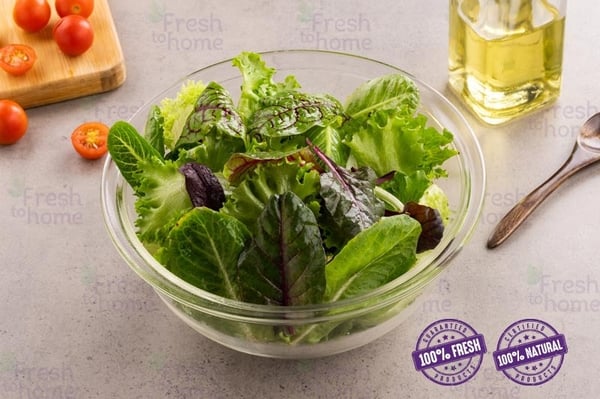Salad Healthy Mix -100g Pack