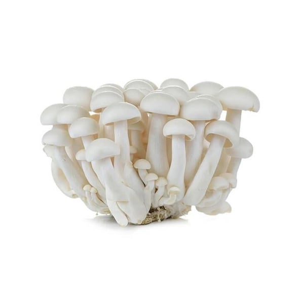 Mushroom White Shimeji -Pack of 150g