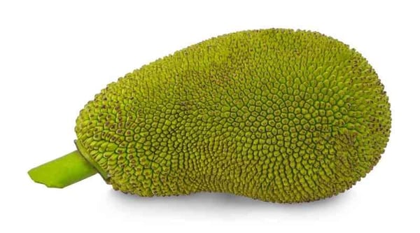 Jack Fruit - Tender