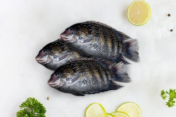 Pearl Spot / Karimeen / కాషిమెరా (Small)