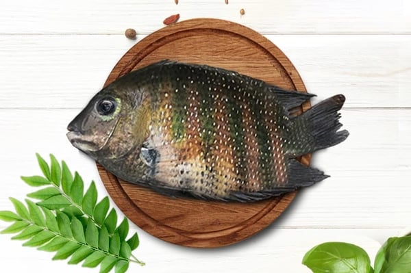 Premium Kumarakom Karimeen / Pearlspot (Super Large)