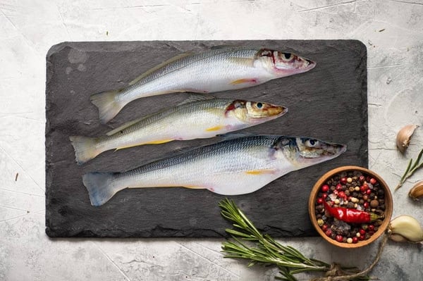 Lady Fish / Kane / Silver Whiting / काणे (Small)