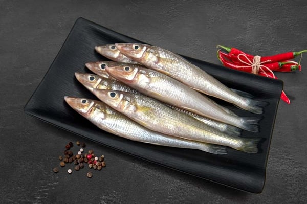 Lady Fish / Kane / Silver Whiting / काणे
