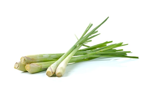 Lemon Grass (TH) - 100g