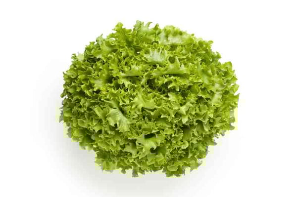 Lettuce Lollo Bionde - 1 Unit (NL)