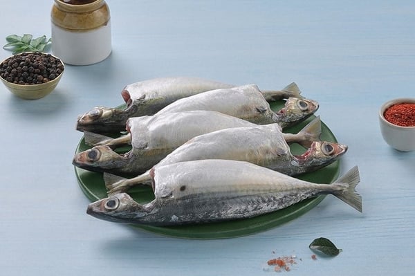 Mackerel / Ayala / Bangda (Super Large, 3 to 5 Count/kg) - Whole Cleaned ( With Head) (450g to 500g Pack)