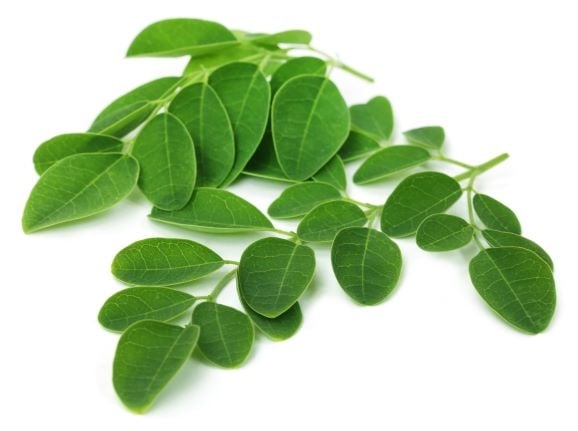 Moringa Leaf (IN) - 1 Bunch