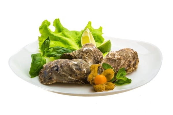 Oyster Whole with Shell / محار بالصدفة(Read the product description carefully)