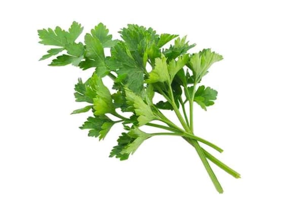 Parsely Leaves -100g Bunch (AE)