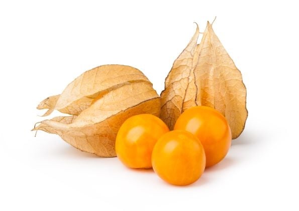 Physalis (CO) - Pack of 100g / فاكهة الحرنكش (فيساليس)
