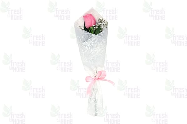 Smokin'Hot (Light Pink Rose)