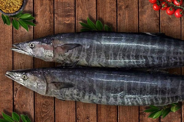 Spanish Seer Fish (Medium)