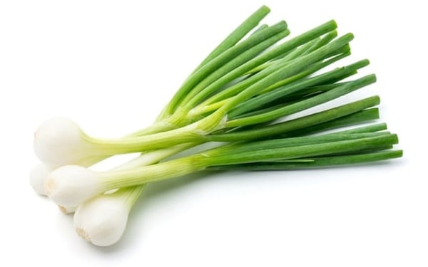 Onion Spring (AE) - 70g
