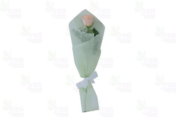 Sugar & Spice (Peach Rose)