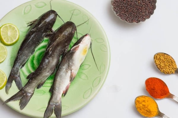 Tengra  / Tyangra / Koori - Whole (Kolkata fish, 5g to 50g) (480g to 500g Pack)