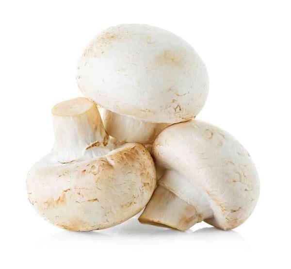 Mushroom White Kinoko (ME) - Pack of 250g