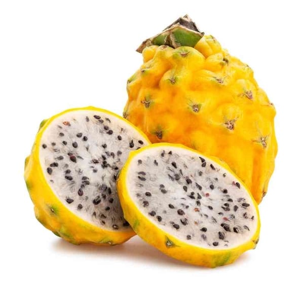Pitahaya Yellow (CL) - Pack of 1