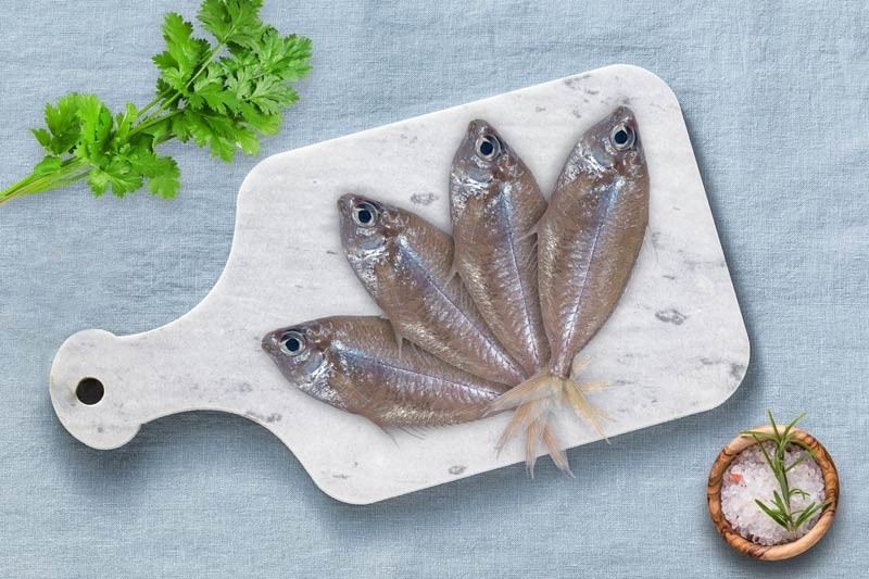 Glass Fish / Arinjil - Whole : Buy online | freshtohome.com
