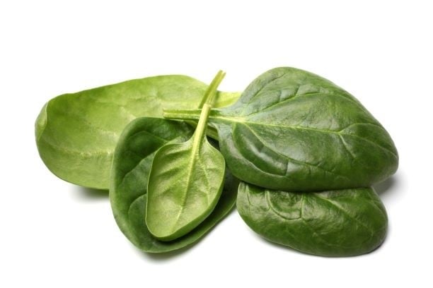 Baby Spinach - Pack of 125g : Buy online | freshtohome.com