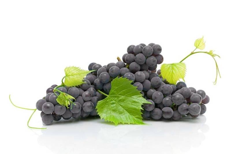 Grapes - Bangalore Blue : Buy online | freshtohome.com