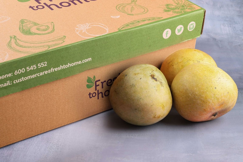 Mango R2E2 (VN) : Buy online | freshtohome.com