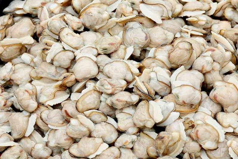 Clam Meat Buy online