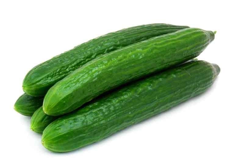 Cucumber (NL) : Buy online | freshtohome.com