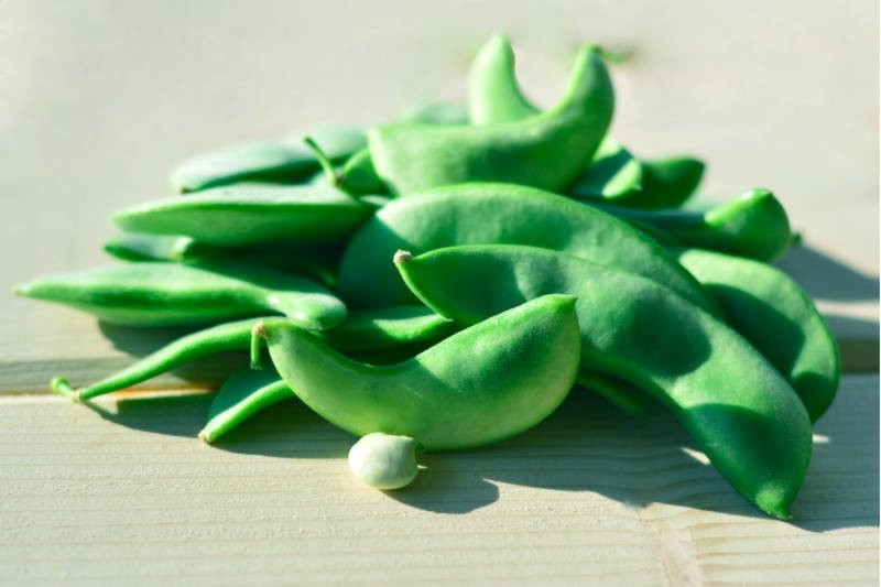 Double Beans Buy online