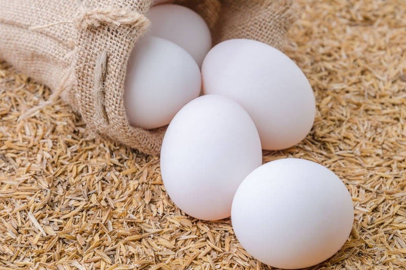 Free Range Kuttanadan Duck Eggs - Pack of 6 Eggs : Buy online