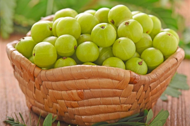 Gooseberry Buy online